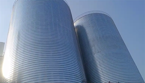 鼎湖2座混凝土高架卷板仓